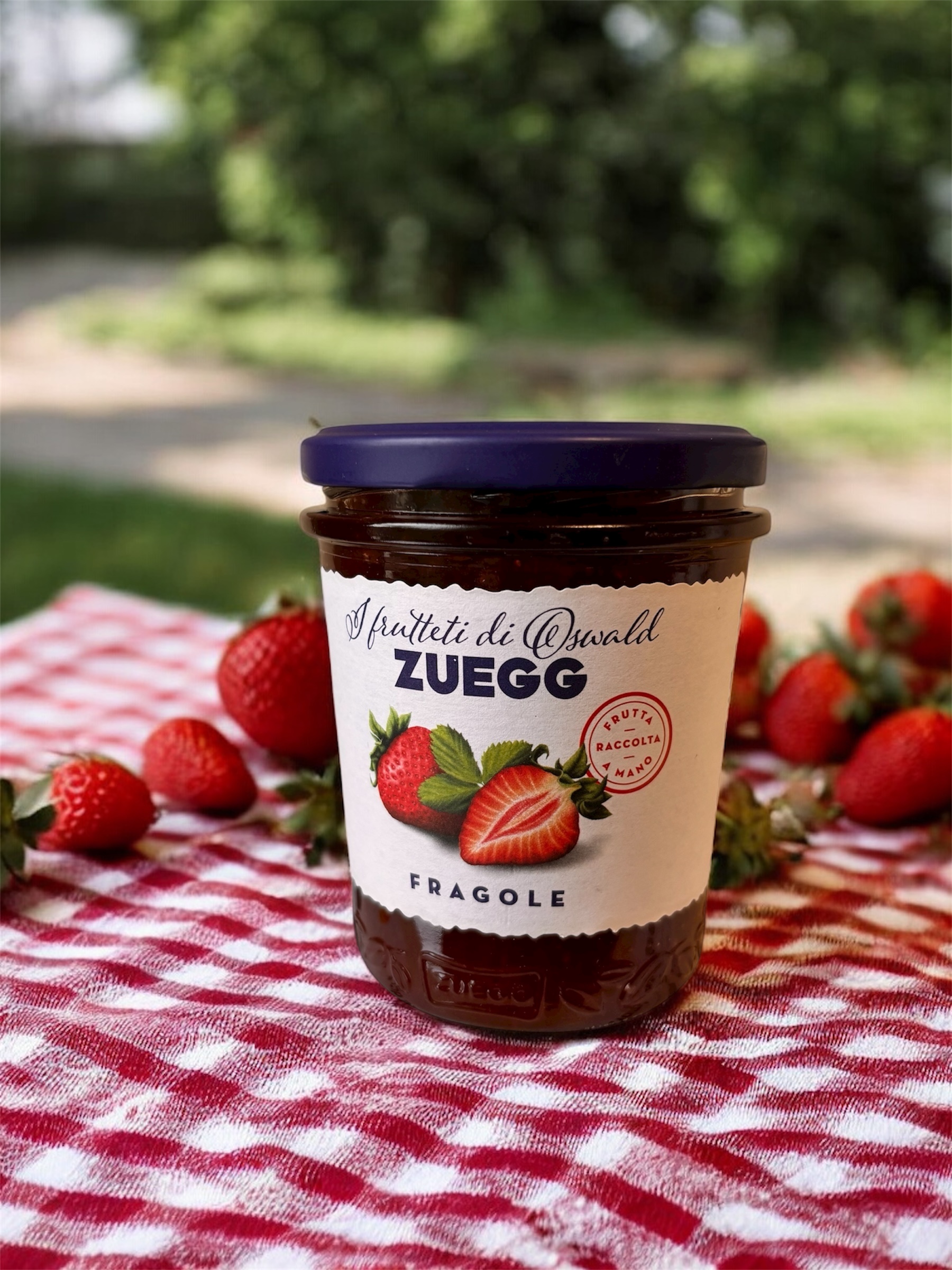 bfe0b2e08f77f53b3d954d1c05711d12